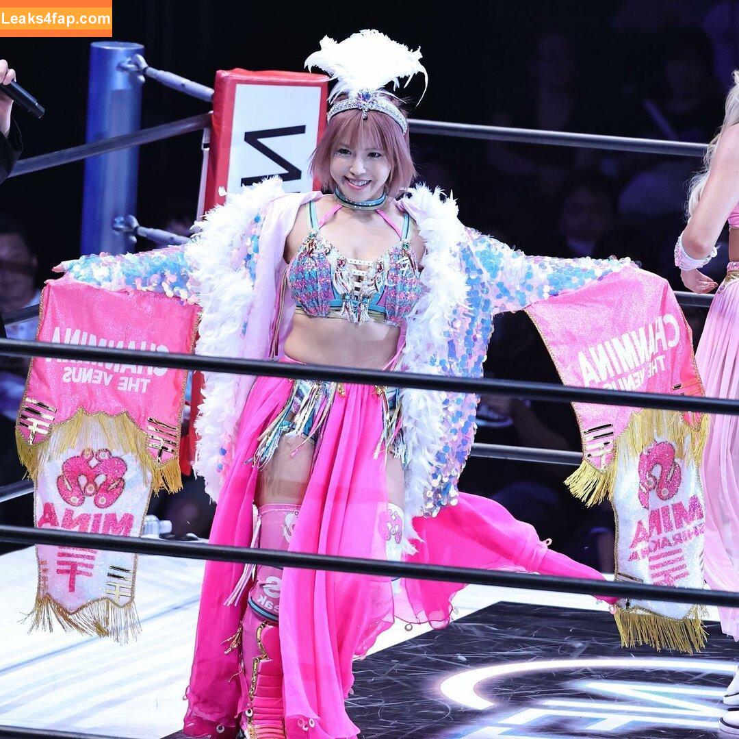 Mina Shirakawa / mina_shirakawa leaked photo photo #1018