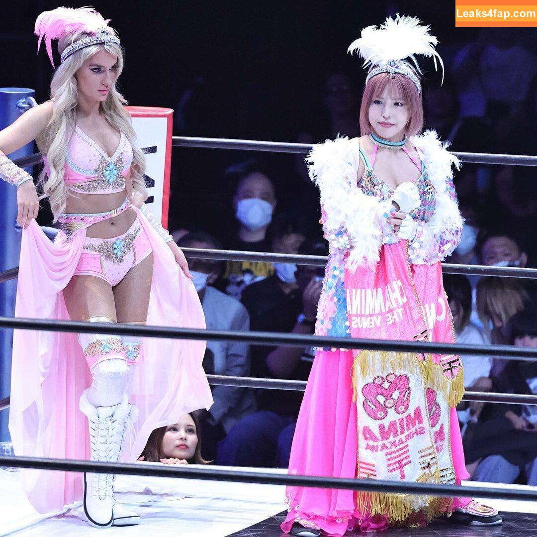 Mina Shirakawa / mina_shirakawa leaked photo photo #1023