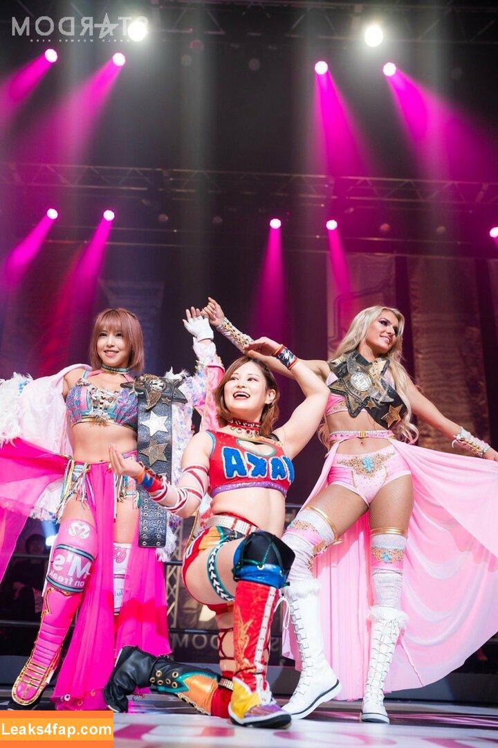 Mina Shirakawa / mina_shirakawa leaked photo photo #1033