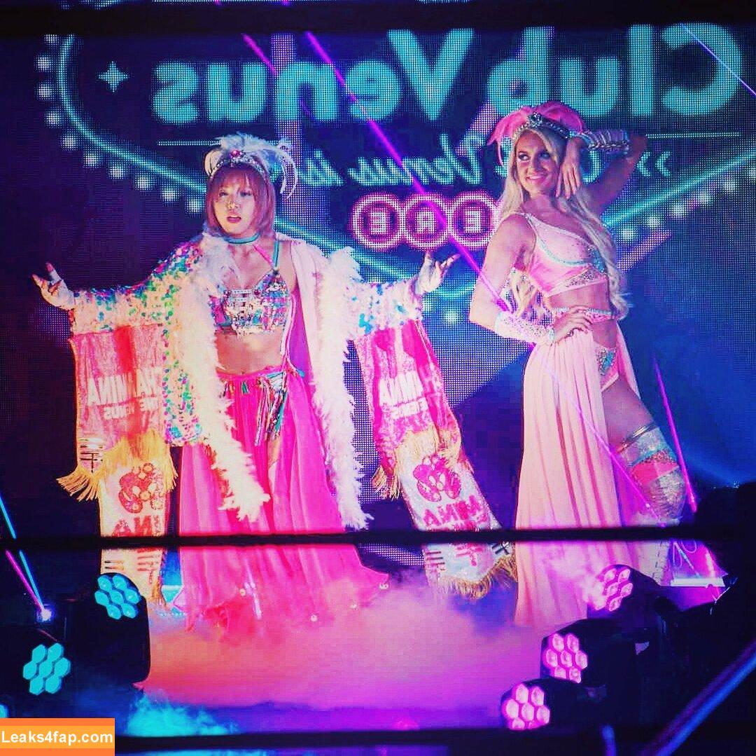 Mina Shirakawa / mina_shirakawa leaked photo photo #1036