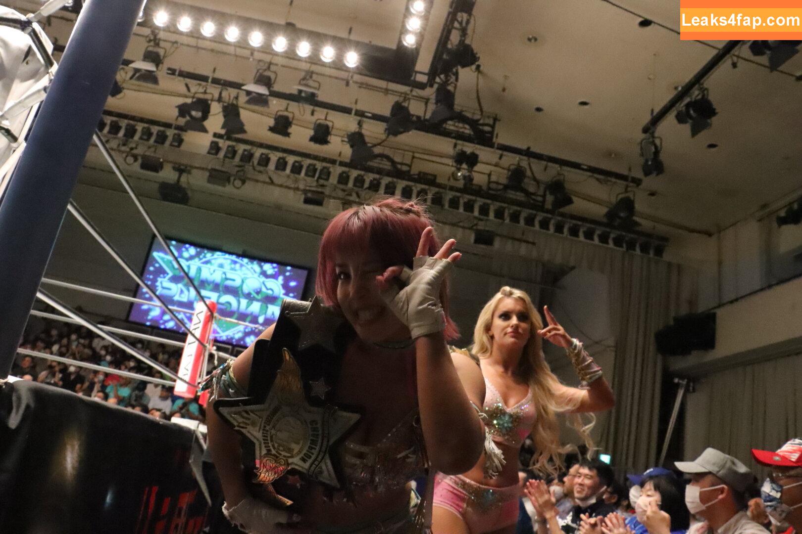 Mina Shirakawa / mina_shirakawa leaked photo photo #1061