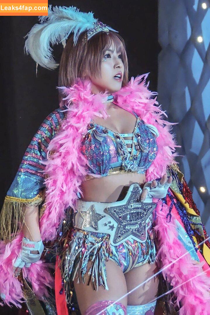 Mina Shirakawa / mina_shirakawa leaked photo photo #1067