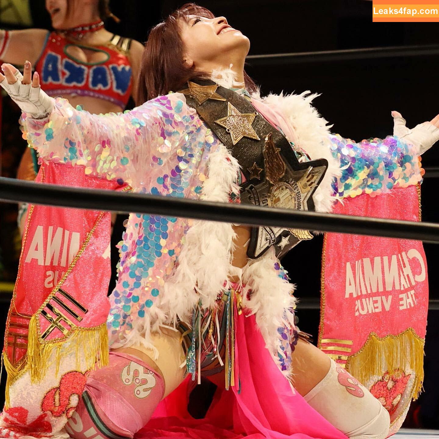 Mina Shirakawa / mina_shirakawa leaked photo photo #1181