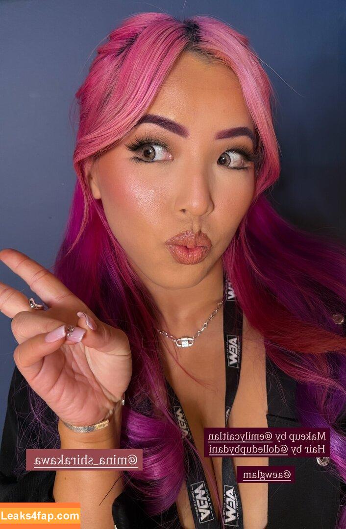 Mina Shirakawa / mina_shirakawa leaked photo photo #1792