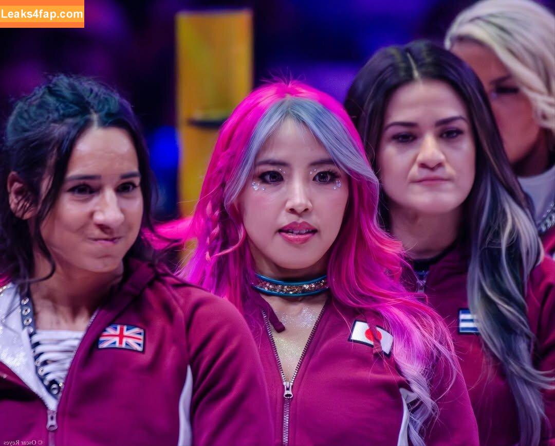 Mina Shirakawa / mina_shirakawa leaked photo photo #1815