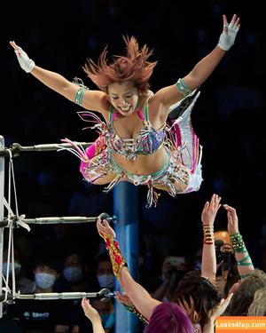 Mina Shirakawa photo #1068