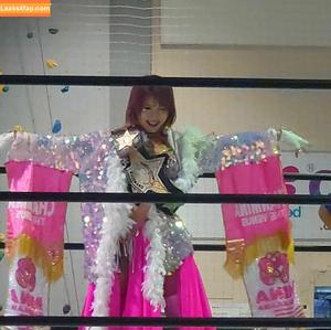 Mina Shirakawa photo #1074