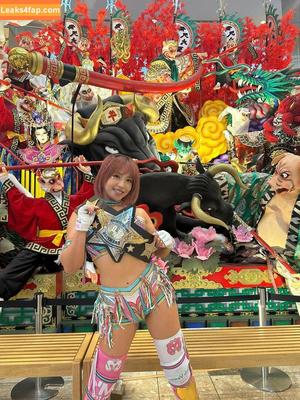 Mina Shirakawa photo #1094