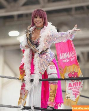 Mina Shirakawa photo #1099