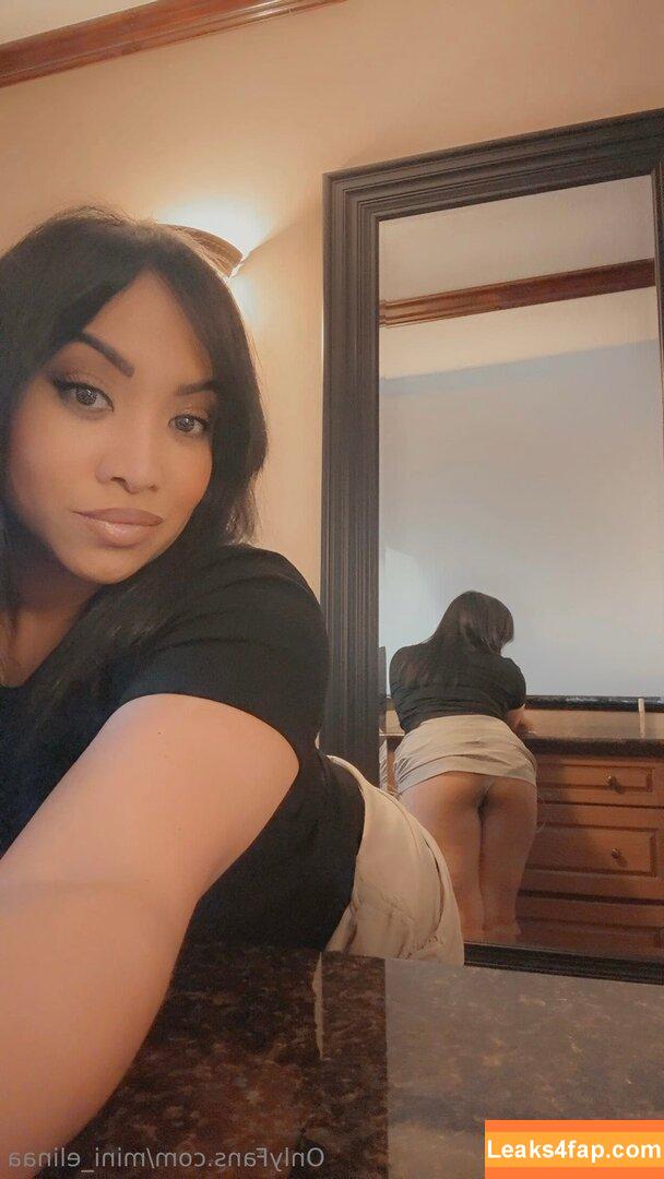 mini_elinaa /  leaked photo photo #0005