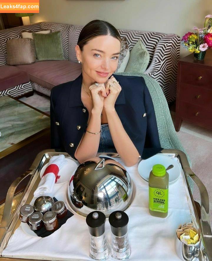 Miranda Kerr / mirandakerr / tsmirandakerr leaked photo photo #0189