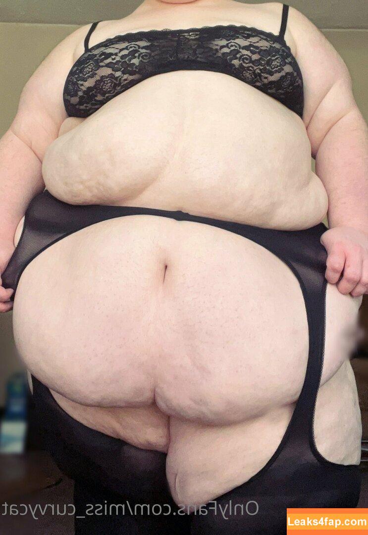 miss_curvycat / misscurvykat leaked photo photo #0026