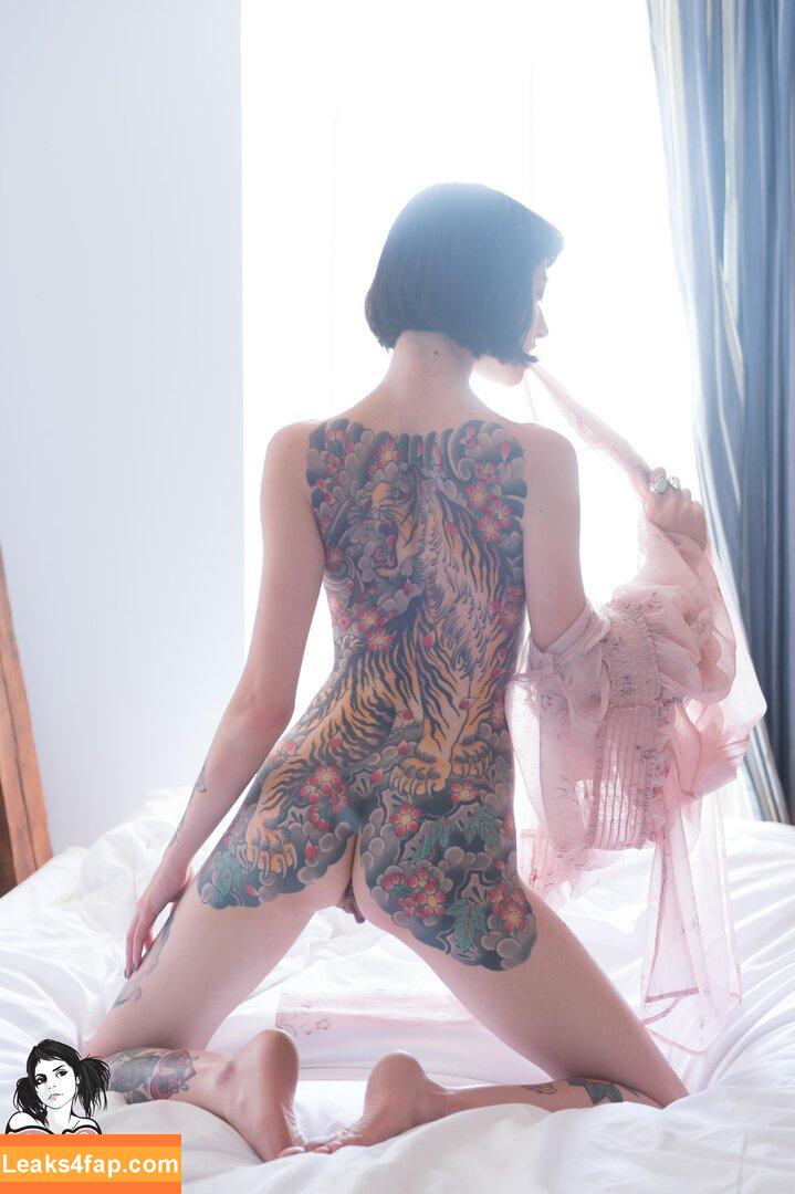 MissFernandez / missfernandez__ leaked photo photo #0216