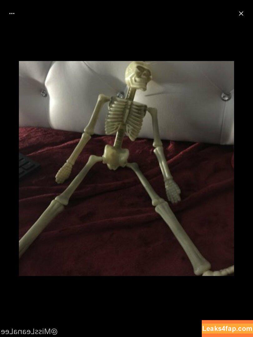 missleanalee / miss_leana_lee leaked photo photo #0019