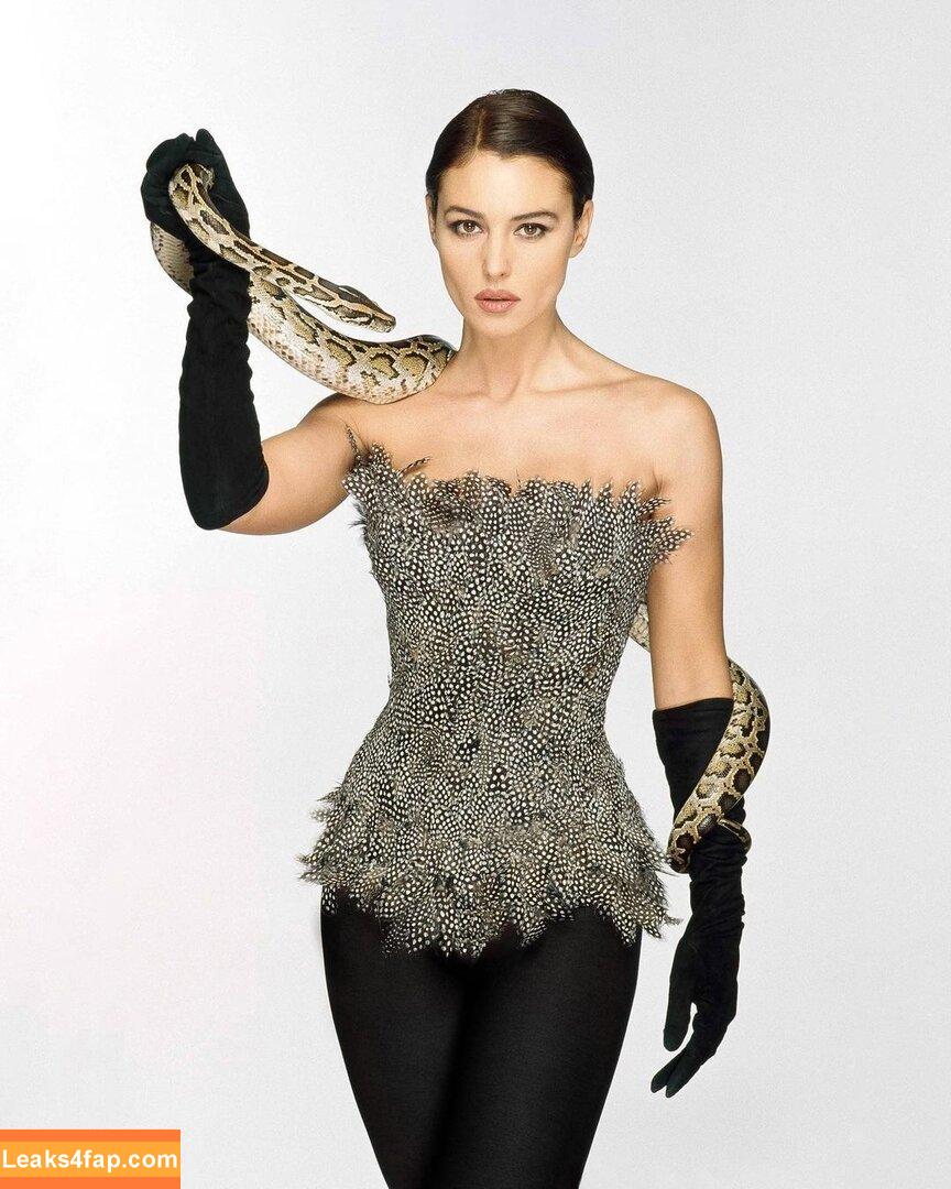 Monica Bellucci / aMonicaBellucci / monicabellucciofficiel leaked photo photo #1174