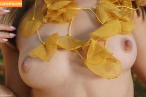 MPLStudios photo #3697