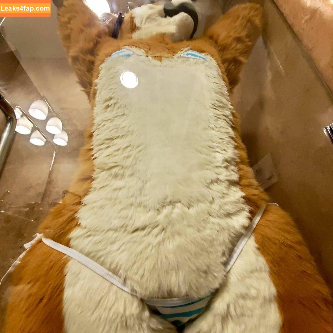 Murrsuit / Faunhouse / Softsuit / afterdark_bunny / lotuslafawn / shichimi.togarashi leaked photo photo #0015