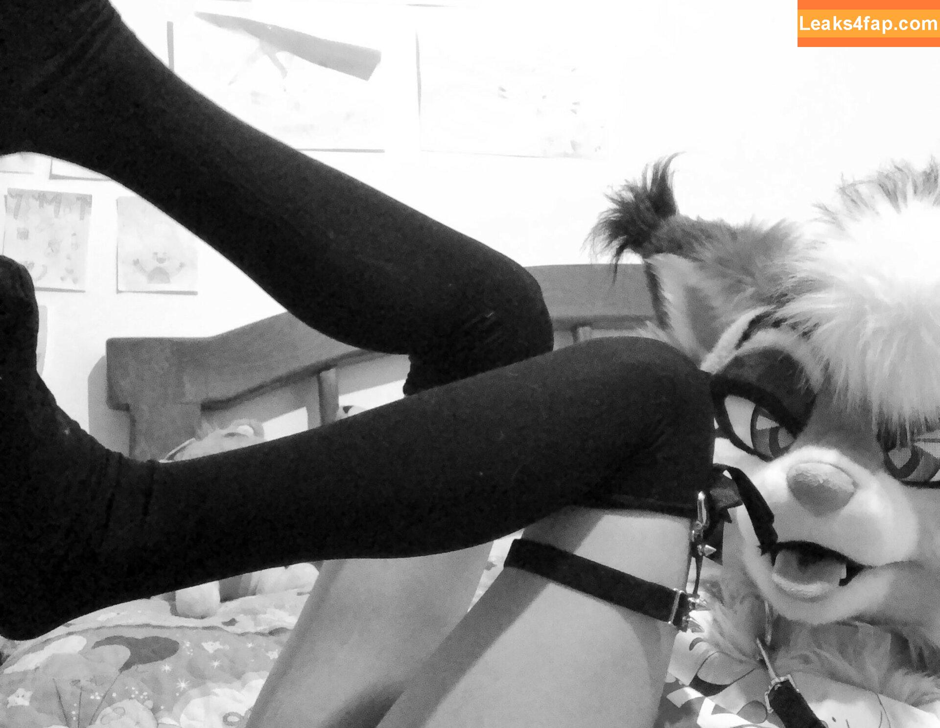 Murrsuit / Faunhouse / Softsuit / afterdark_bunny / lotuslafawn / shichimi.togarashi leaked photo photo #0039