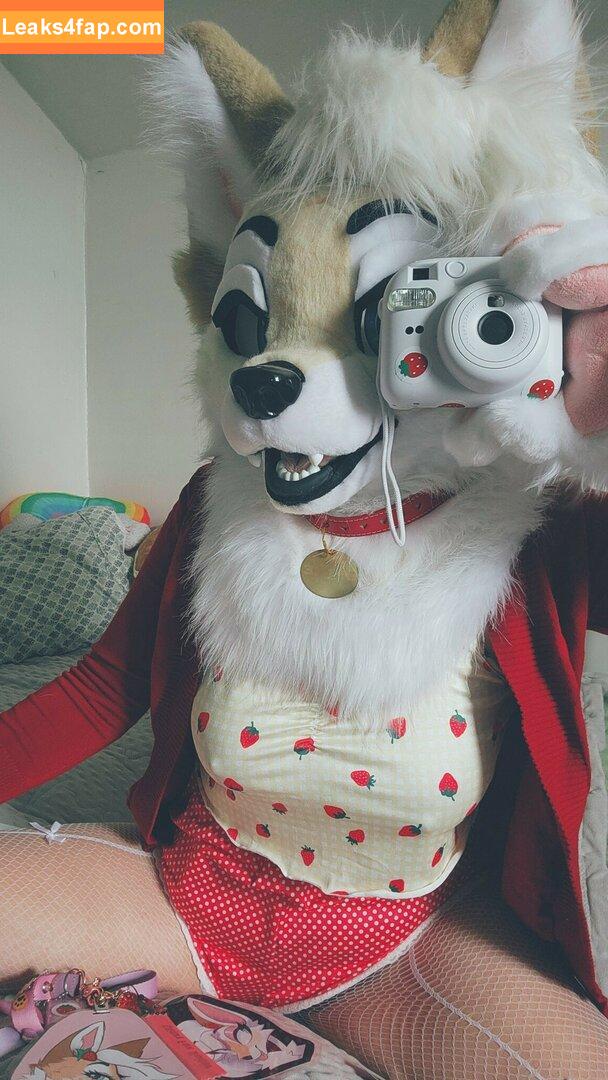 Murrsuit / Faunhouse / Softsuit / afterdark_bunny / lotuslafawn / shichimi.togarashi leaked photo photo #0446