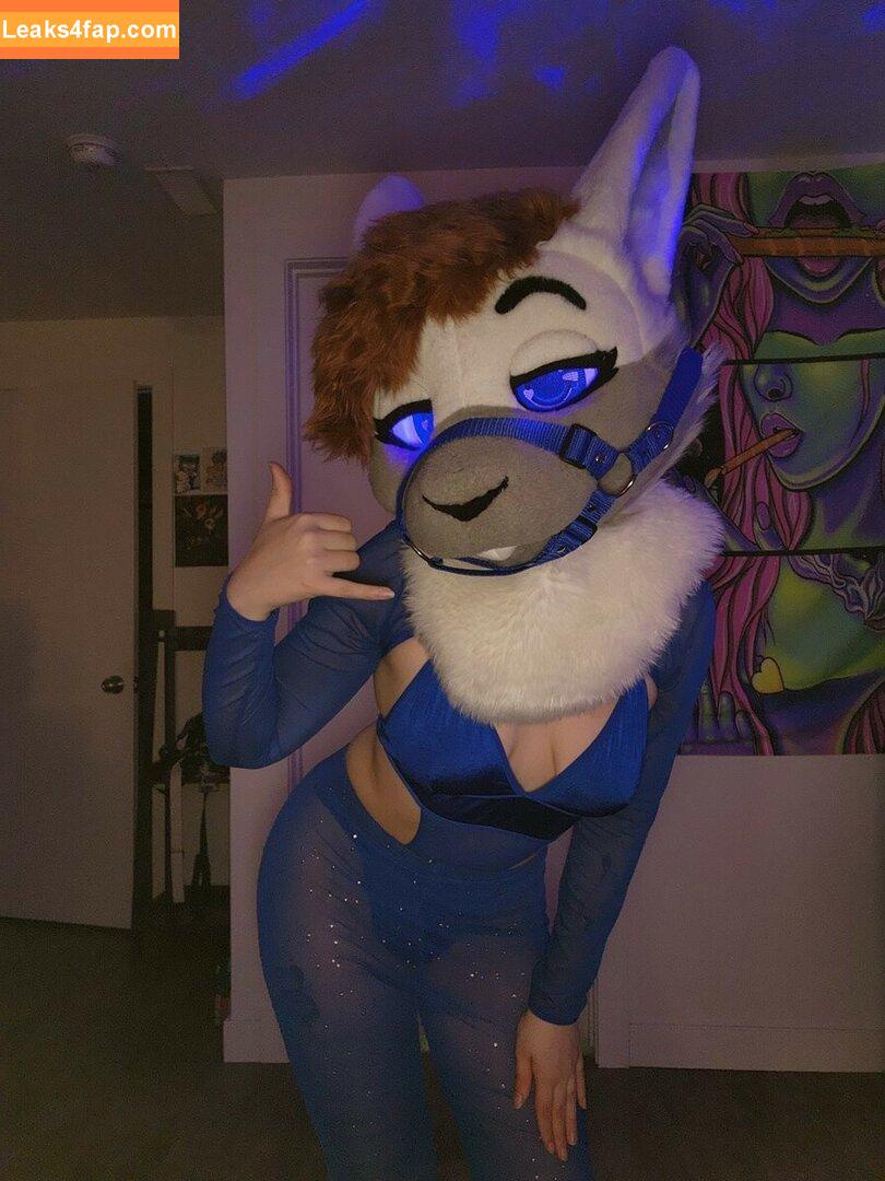 Murrsuit / Faunhouse / Softsuit / afterdark_bunny / lotuslafawn / shichimi.togarashi leaked photo photo #0481