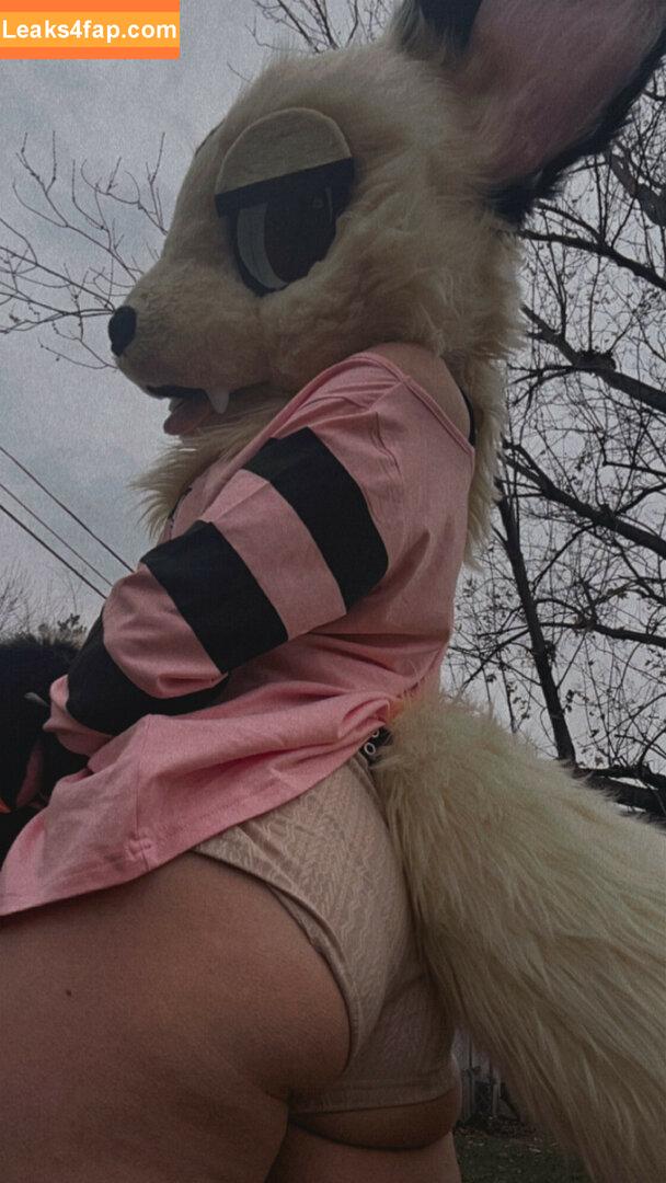 Murrsuit / Faunhouse / Softsuit / afterdark_bunny / lotuslafawn / shichimi.togarashi слитое фото фото #0511