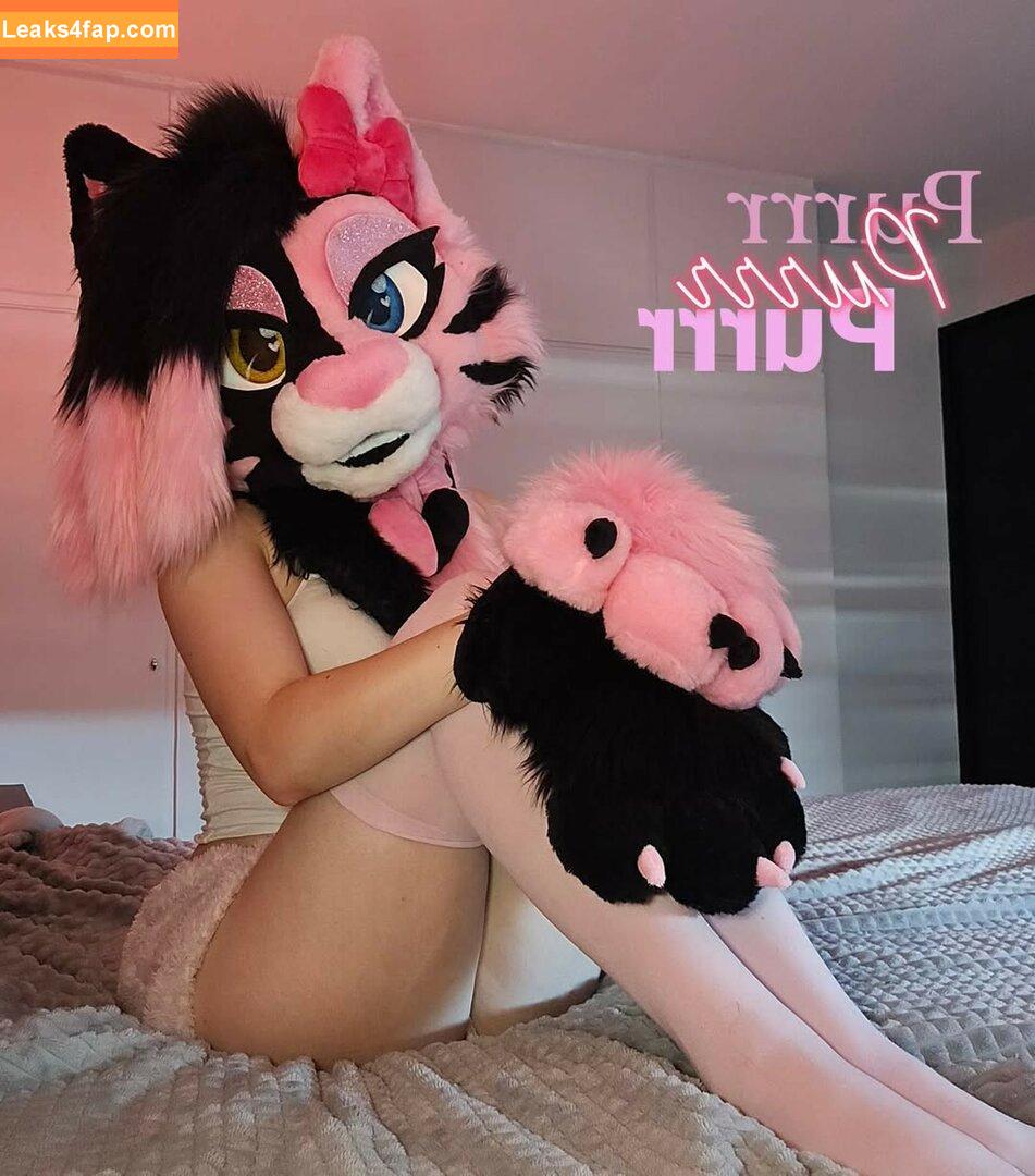 Murrsuit / Faunhouse / Softsuit / afterdark_bunny / lotuslafawn / shichimi.togarashi leaked photo photo #0533