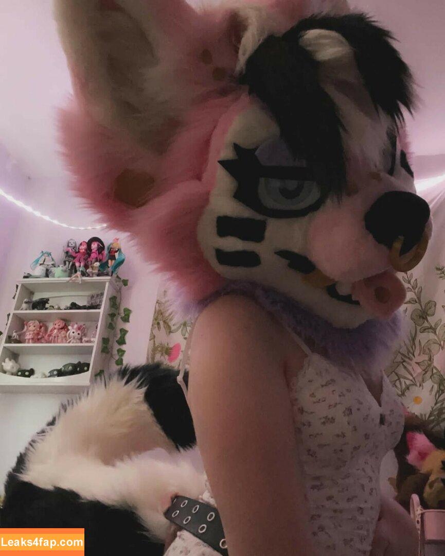Murrsuit / Faunhouse / Softsuit / afterdark_bunny / lotuslafawn / shichimi.togarashi leaked photo photo #0549