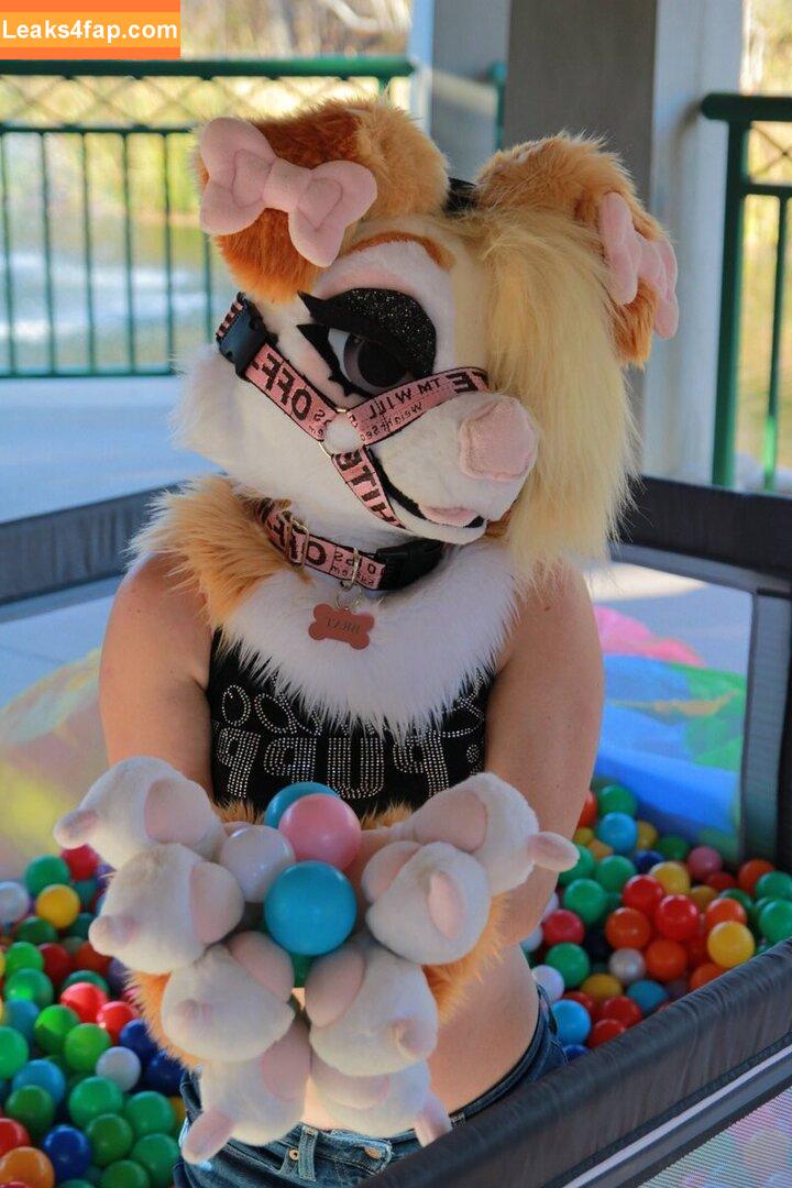 Murrsuit / Faunhouse / Softsuit / afterdark_bunny / lotuslafawn / shichimi.togarashi leaked photo photo #0766