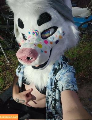 Murrsuit photo #0363