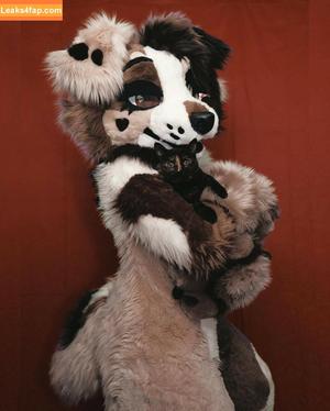 Murrsuit photo #0659