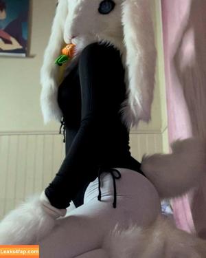 Murrsuit photo #0680