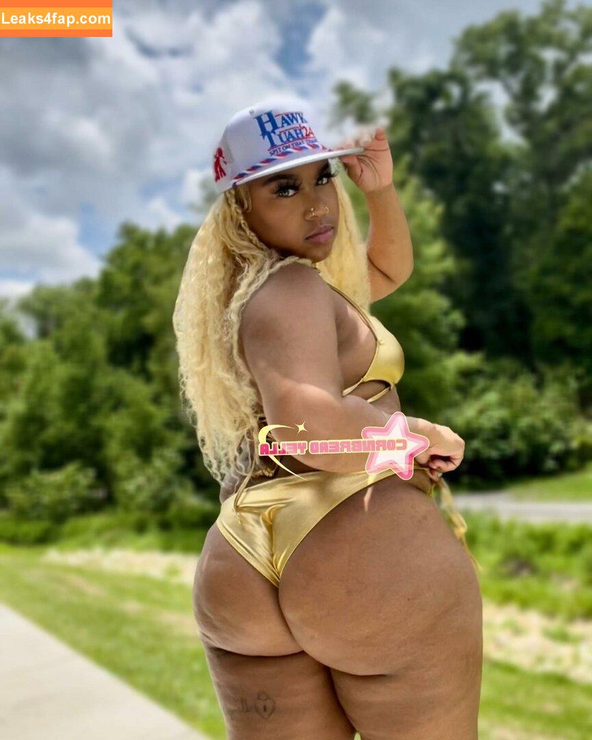 Mz Juicy / CornbreadYella / uwantjuicy / yellajuicy leaked photo photo #0001