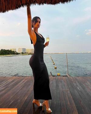 Naaz Torbati photo #0039