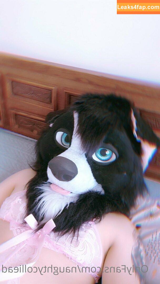 naughtycolliead /  leaked photo photo #0043