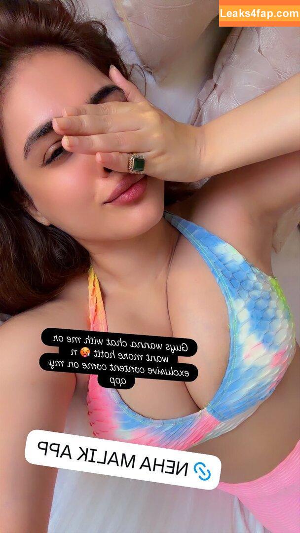 Nehhaa Malik / Neha Malik / freakymeek500 / nehamalik335 leaked photo photo #0157
