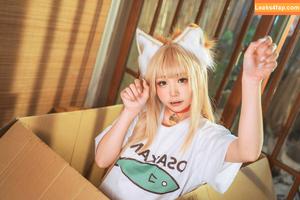 nekokoyoshi photo #0899