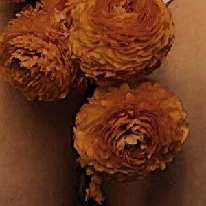 neoliberalhell фото #0019