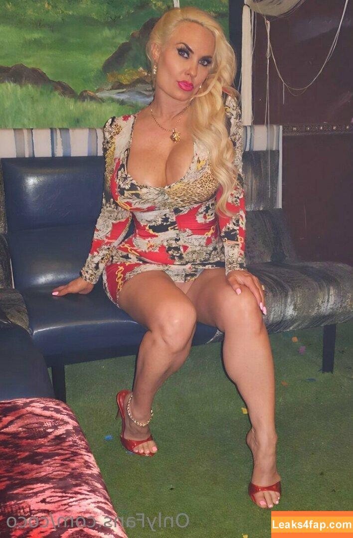 Nicole Coco Austin / coco / cocosworld leaked photo photo #0522