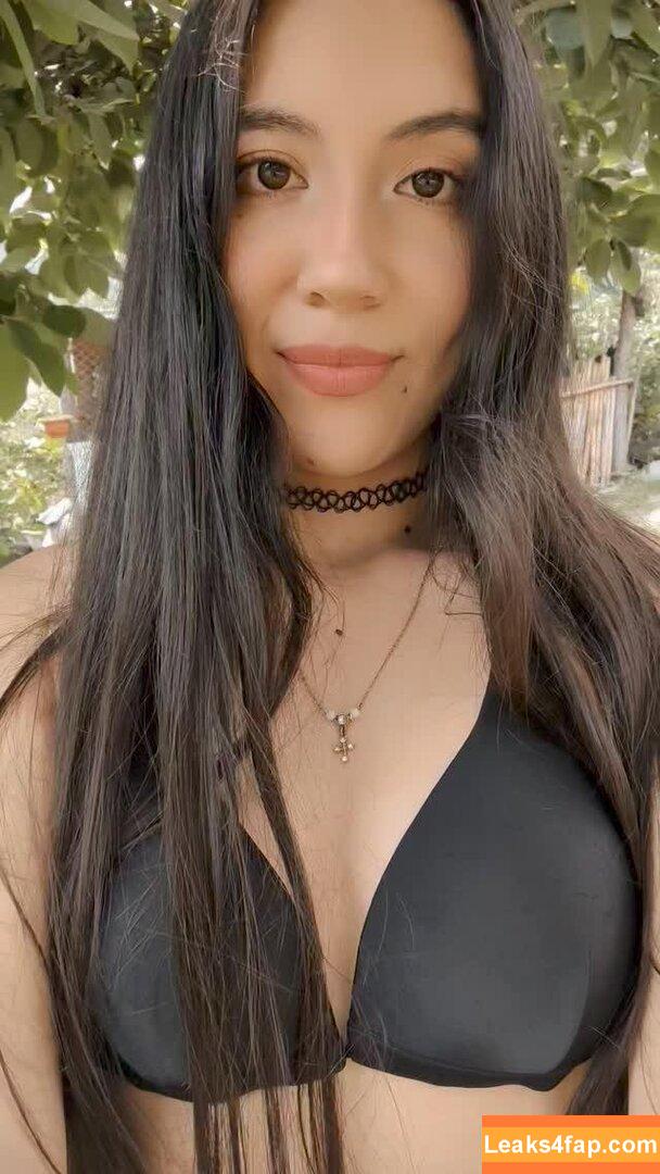 Nicole Dayana / nicodayii leaked photo photo #0028