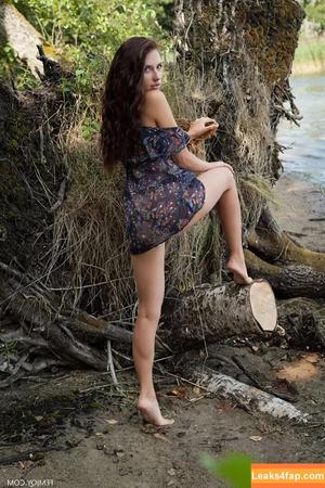 Niemira фото #0368