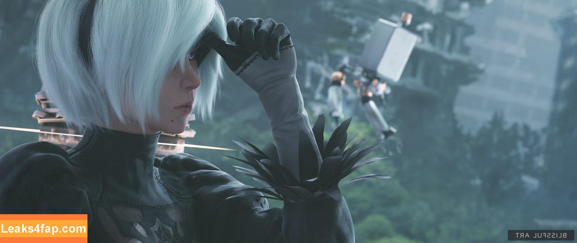 Nier Automata YoRHa / yorha.2.b слитое фото фото #0103