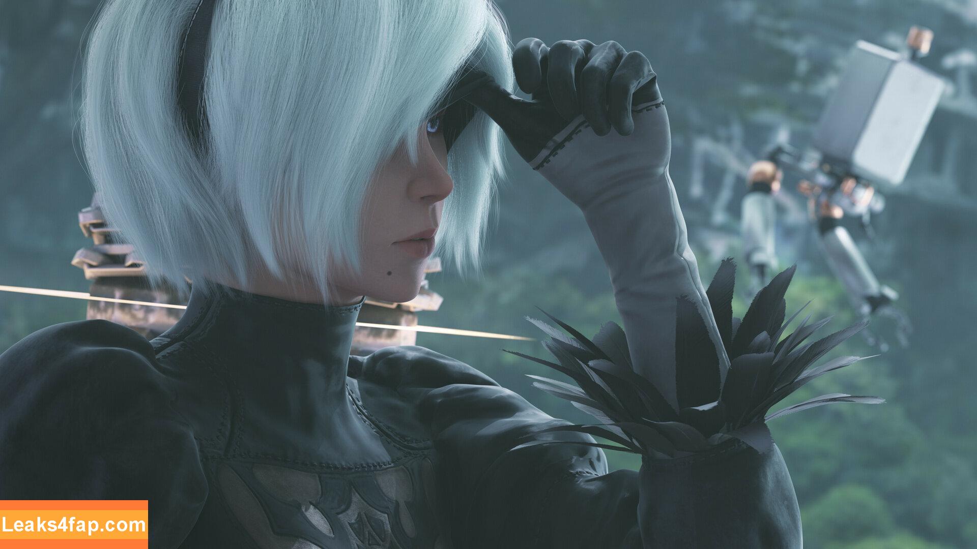 Nier Automata YoRHa / yorha.2.b слитое фото фото #0110