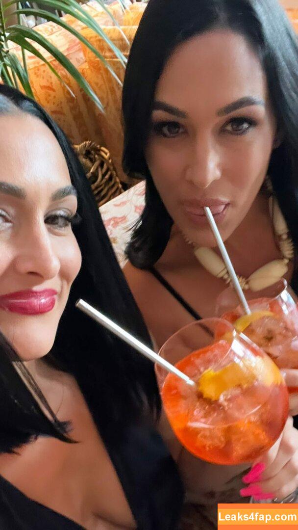 Nikki Bella / nikkigarcia leaked photo photo #0004