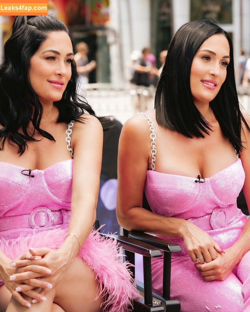 Nikki Bella / nikkigarcia leaked photo photo #0015