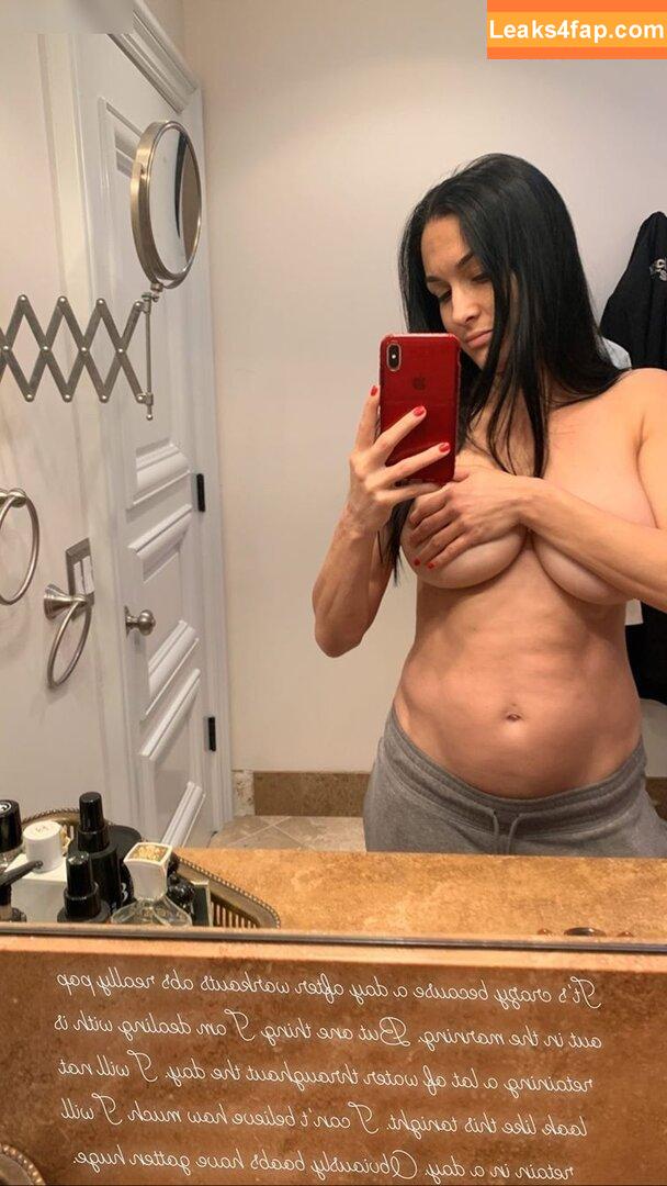 Nikki Bella / nikkigarcia leaked photo photo #0030