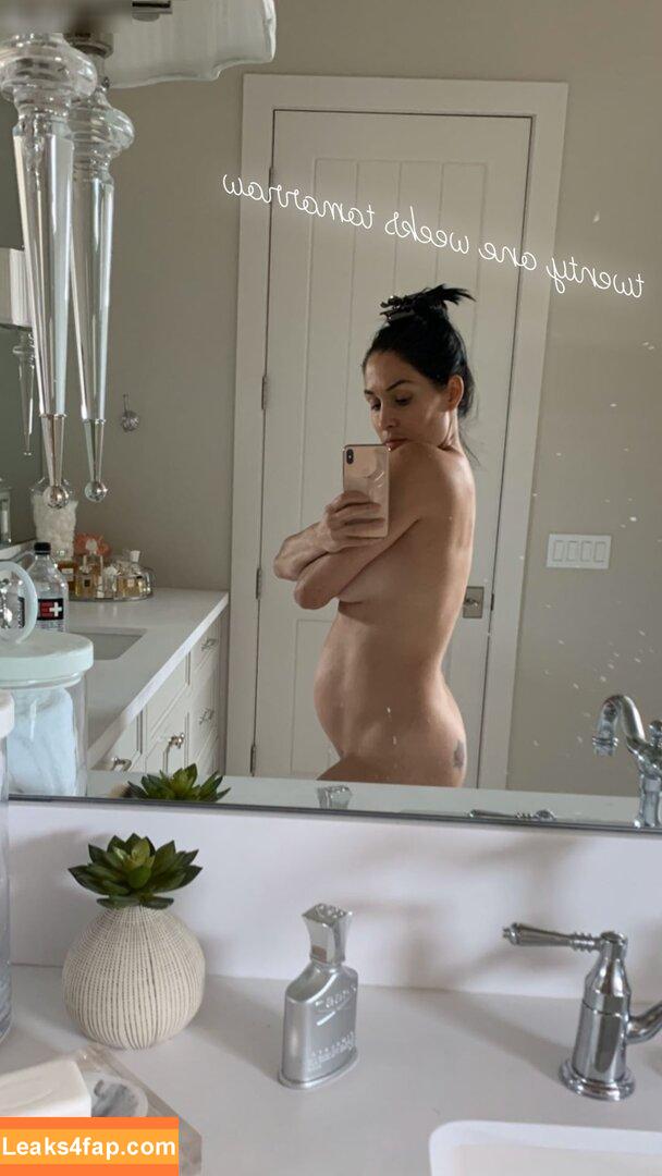 Nikki Bella / nikkigarcia leaked photo photo #0032