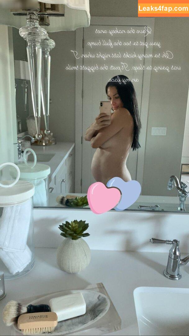 Nikki Bella / nikkigarcia leaked photo photo #0033