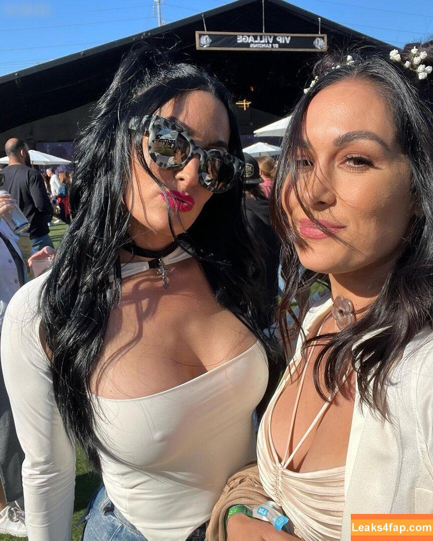 Nikki Bella / nikkigarcia leaked photo photo #0050