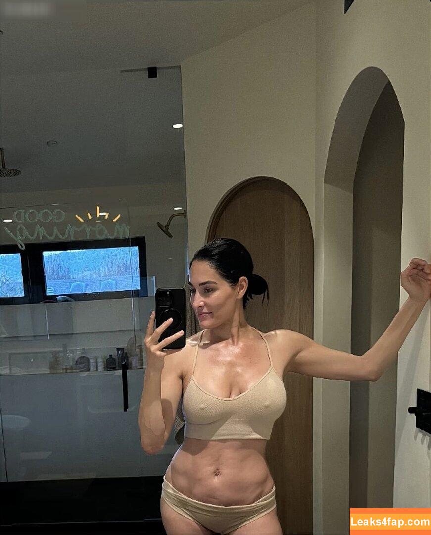 Nikki Bella / nikkigarcia leaked photo photo #0082