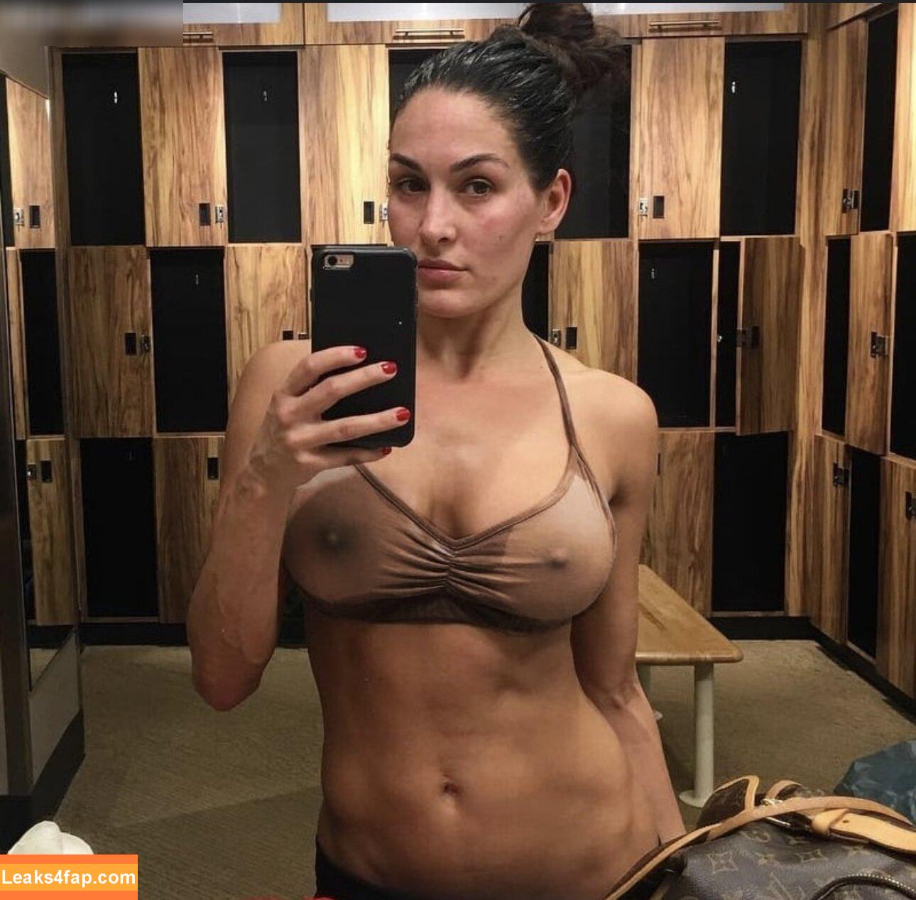 Nikki Bella / nikkigarcia leaked photo photo #0096